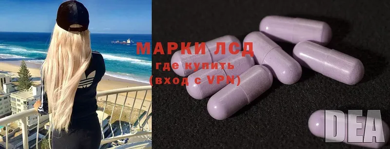 купить наркоту  Шуя  Лсд 25 экстази ecstasy 